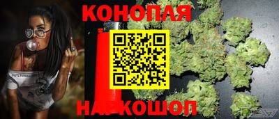 молекула духа Шебекино
