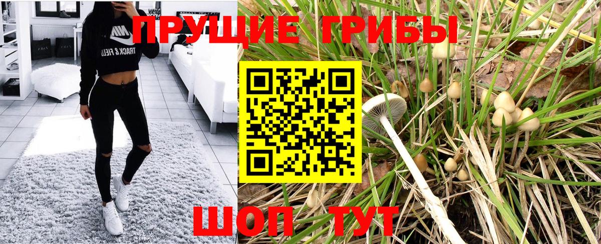 Псилоцибиновые грибы Magic Shrooms Вятские Поляны
